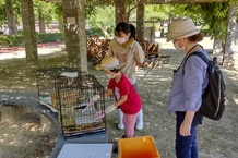 花農丘公園（ウサギ、モルモット、ポニーの飼育体験）画像2